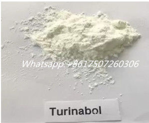 Testosterone Steroids White Powders 4-Chlorodehydromethyltestosterone 2446-23-3 For Bodybuilding