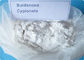 White Powder Boldenone Equipoise Bulking Cycle Boldenone Cypionate CAS 106505-90-2