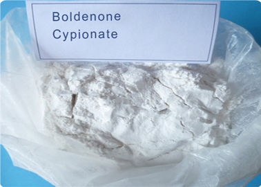 Polvere cruda Boldenone Cypionate (106505-90-2) Ace audace dell'ormone di steroidi della soluzione