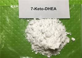 Polvere 7-Keto-DHEA 7-Keto-DHEA di supplemento dell'acetato di Prohormone per crescita magra del muscolo